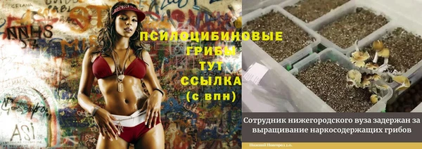 гидропоника Бронницы