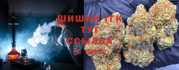 гидропоника Бронницы