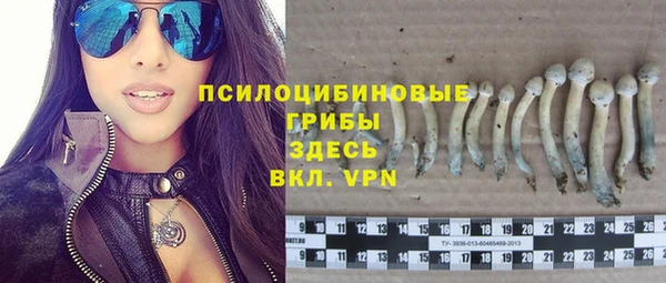 spice Бугульма