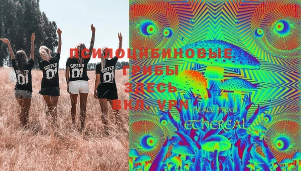 spice Бугульма