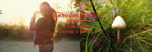 гидропоника Бронницы