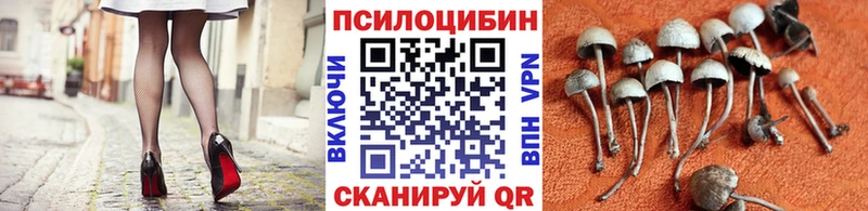 Псилоцибиновые грибы Cubensis  закладка  Златоуст 